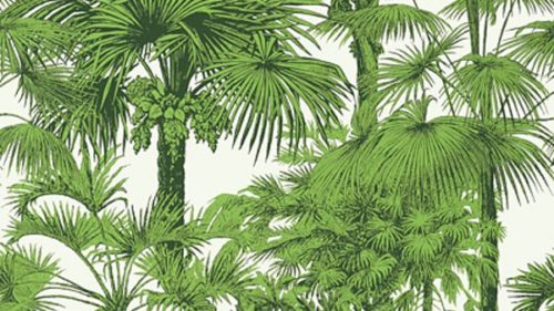 PALM BOTANICAL T10103